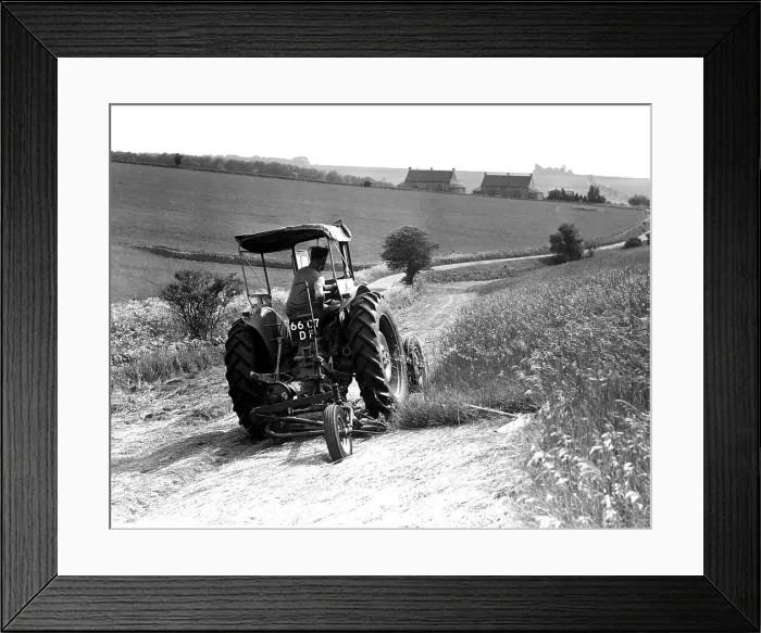 Framed Print : Down On The Farm Framed Print : Down On The Farm