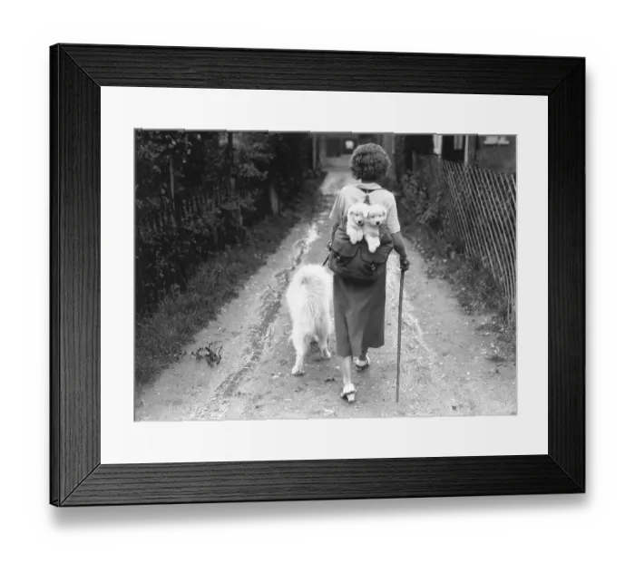 Framed Print : Hitching A Ride Framed Print : Hitching A Ride