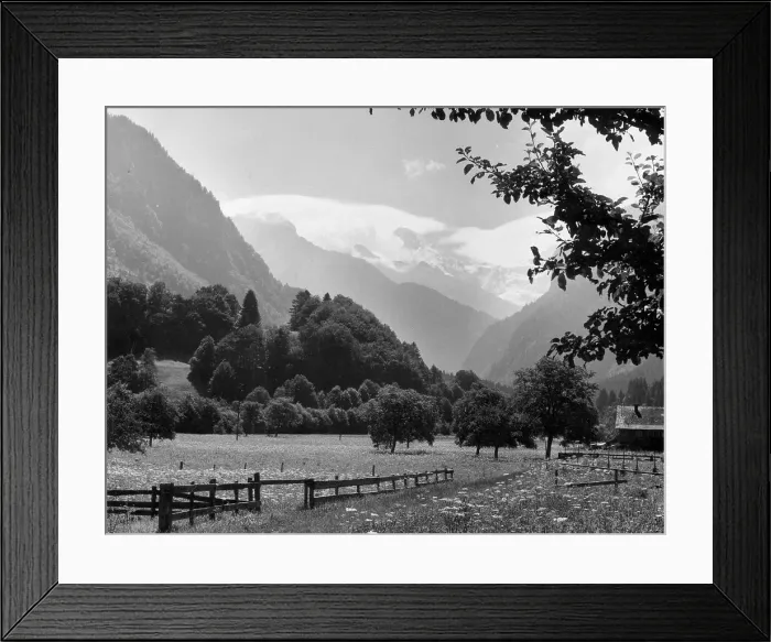 Framed Print : Alpine Valley Framed Print : Alpine Valley