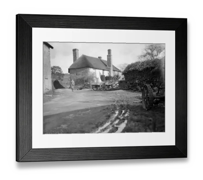 Framed Print : Devon Lane Framed Print : Devon Lane