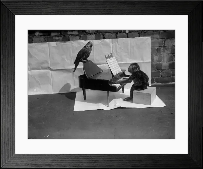 Framed Print : My Key Please Framed Print : My Key Please
