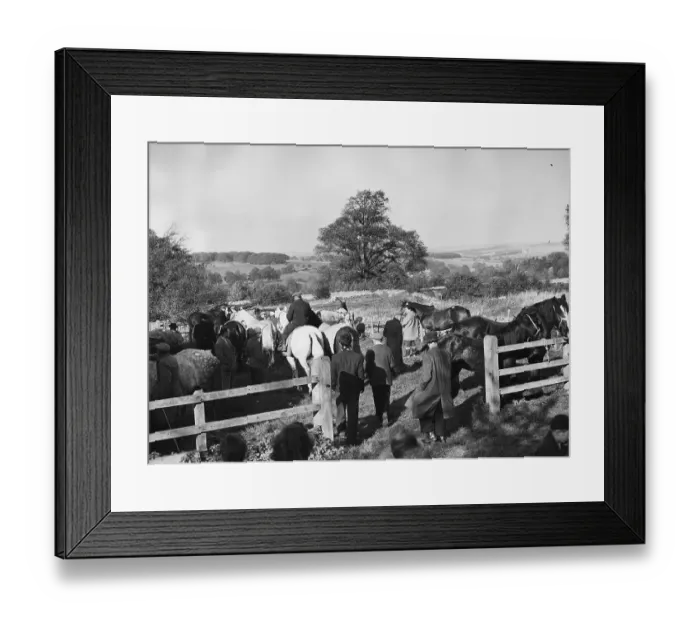 Framed Print : Horse Fair Framed Print : Horse Fair