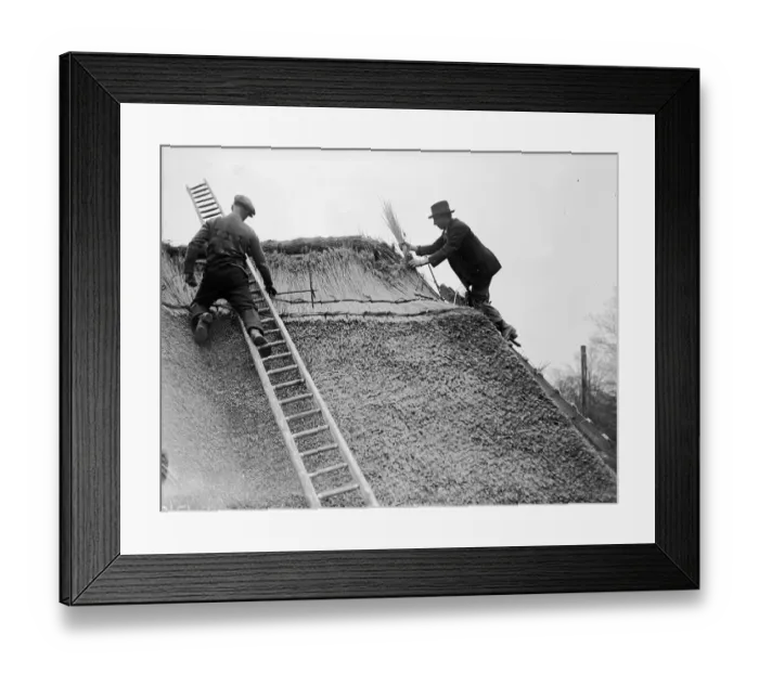 Framed Print : Thatchers At Work Framed Print : Thatchers At Work