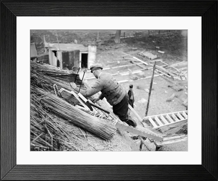 Framed Print : Thatcher At Work Framed Print : Thatcher At Work