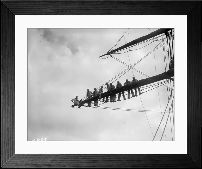 Framed Print : Out On A Limb Framed Print : Out On A Limb