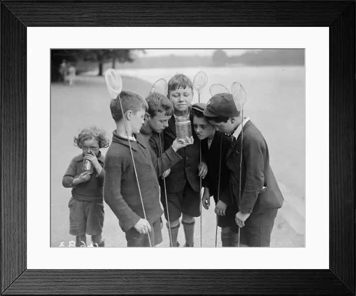 Framed Print : Tiddler Fishers Framed Print : Tiddler Fishers