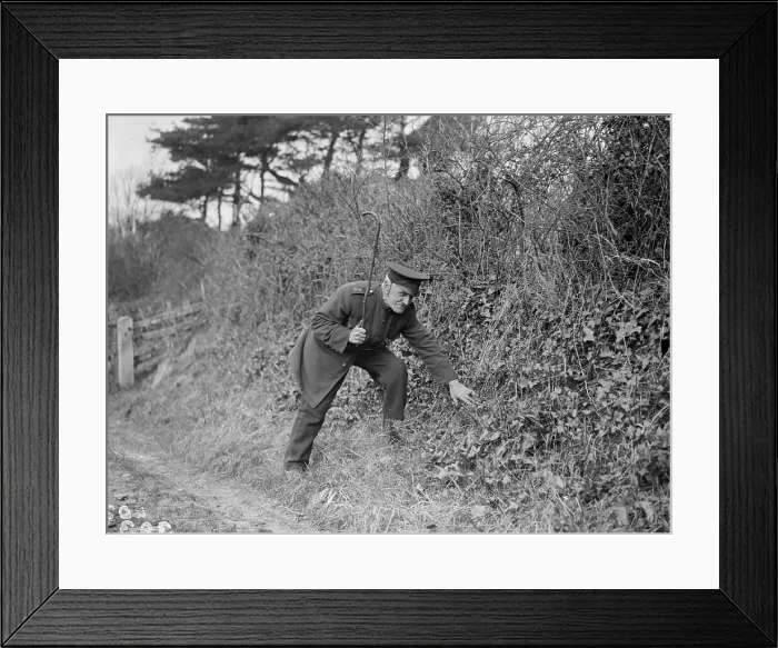 Framed Print : Ratcatcher Framed Print : Ratcatcher