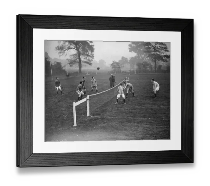 Framed Print : Head Tennis Framed Print : Head Tennis