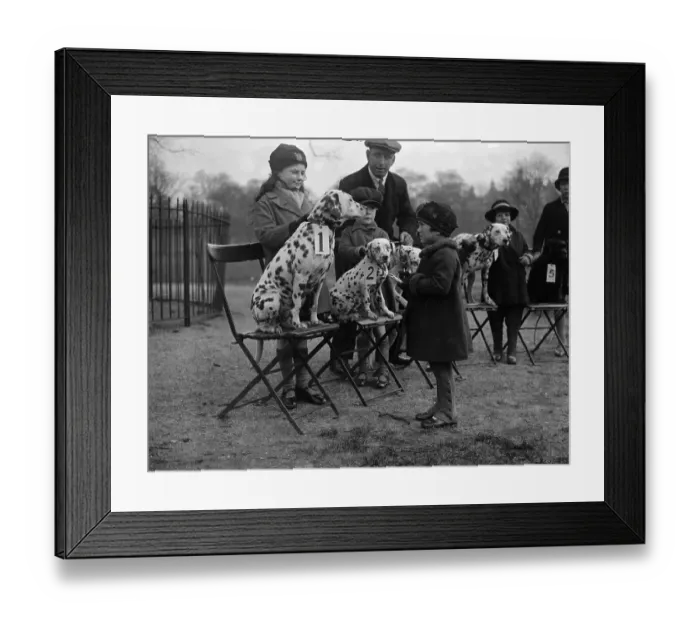 Framed Print : Spotty Winners Framed Print : Spotty Winners
