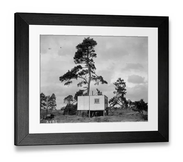 Framed Print : Tree House Framed Print : Tree House