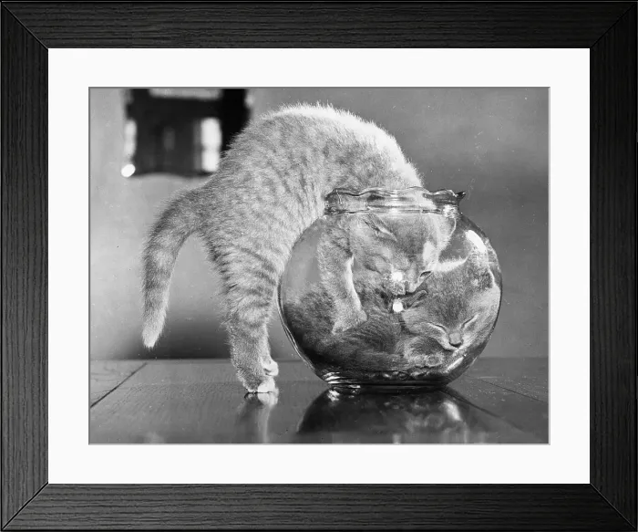 Framed Print : Full Up Inside Framed Print : Full Up Inside
