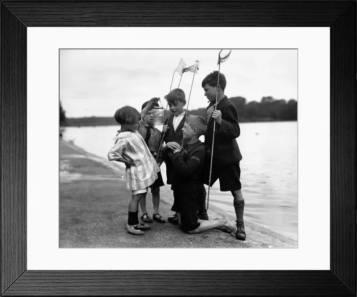 Framed Print : Day's Catch Framed Print : Day's Catch