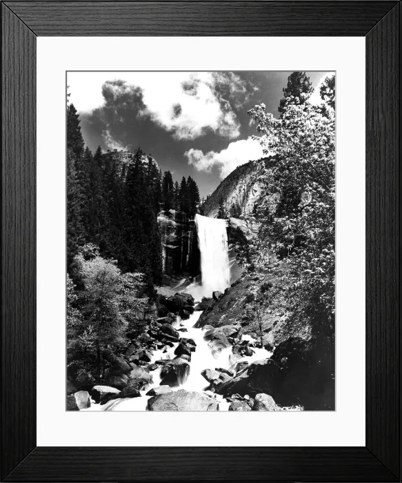 Framed Print : Yosemite Park Framed Print : Yosemite Park