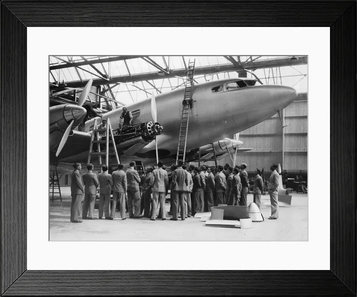 Framed Print : The Albatross Framed Print : The Albatross