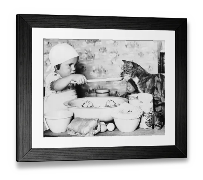 Framed Print : Cat Taster Framed Print : Cat Taster