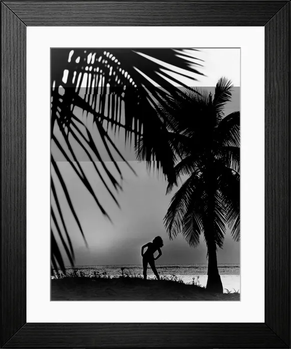 Framed Print : Sunny Silhouette Framed Print : Sunny Silhouette