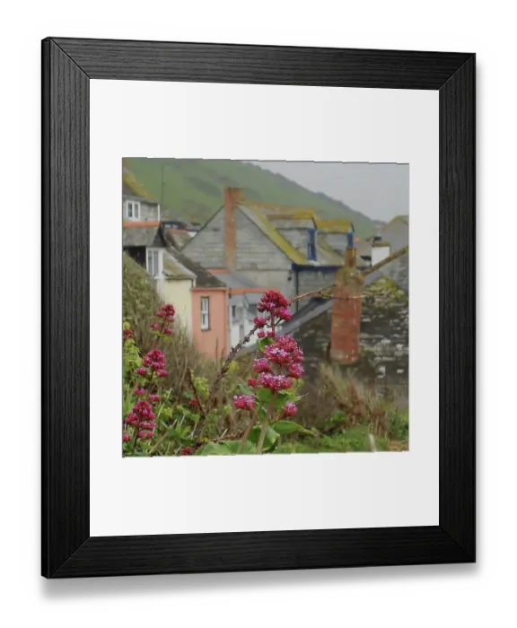 Framed Print : Port Isaac Framed Print : Port Isaac