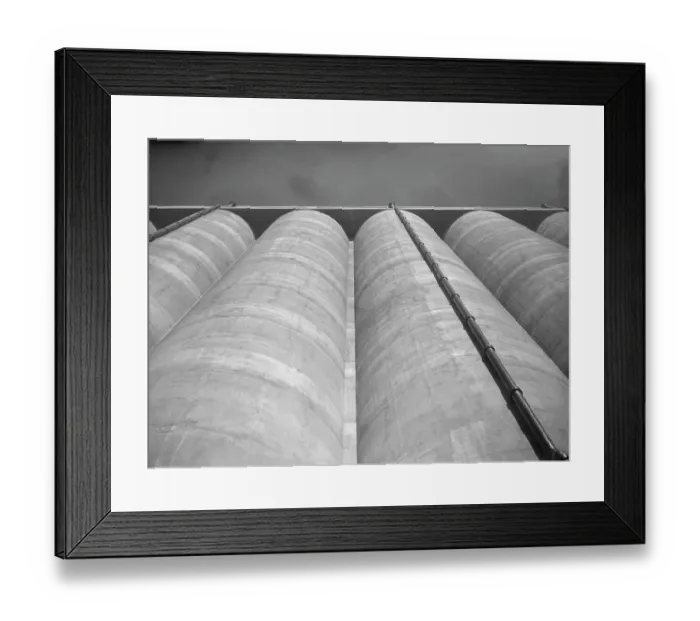 Framed Print : Worm's Eye View Framed Print : Worm's Eye View