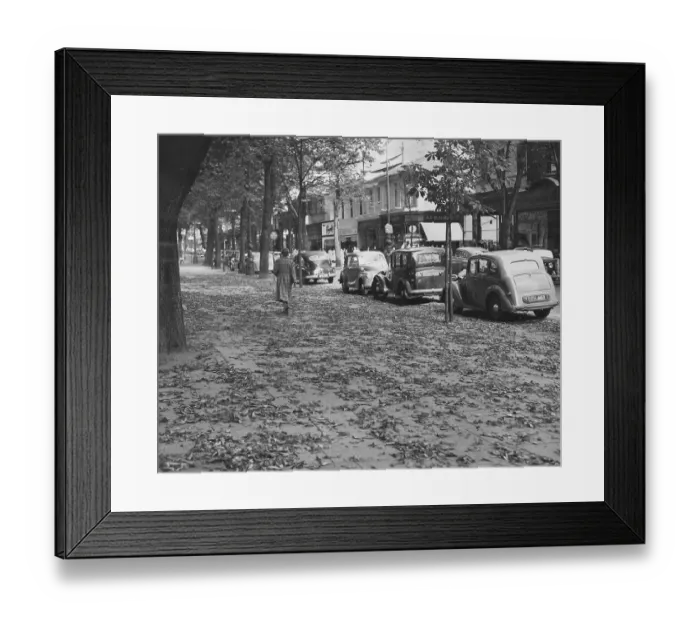 Framed Print : Autumn Leaves Framed Print : Autumn Leaves
