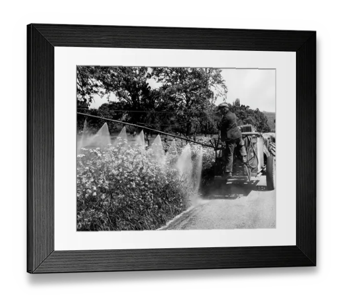 Framed Print : Weed Killer Framed Print : Weed Killer