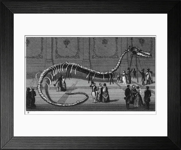 Framed Print : Victorian-era Engraving of a Dinosaur Skeleton Framed Print : Victorian-era Engraving of a Dinosaur Skeleton