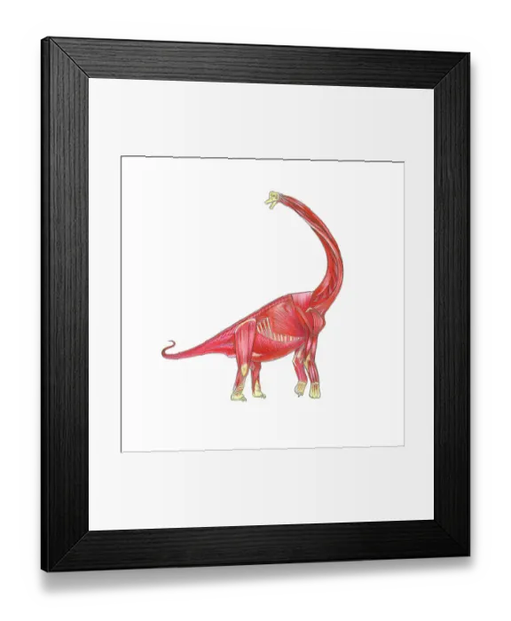 Framed Print : Illustration of skeletal musculature of Brachiosaurus dinosaur Framed Print : Illustration of skeletal musculature of Brachiosaurus dinosaur