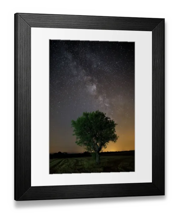 Framed Print : Milky Way over olive tree in Provence, France Framed Print : Milky Way over olive tree in Provence, France