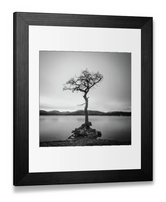 Framed Print : Loneliness Framed Print : Loneliness