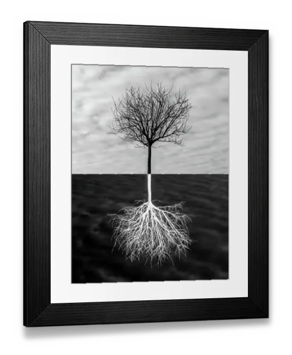 Framed Print : Deciduous tree in winter Framed Print : Deciduous tree in winter
