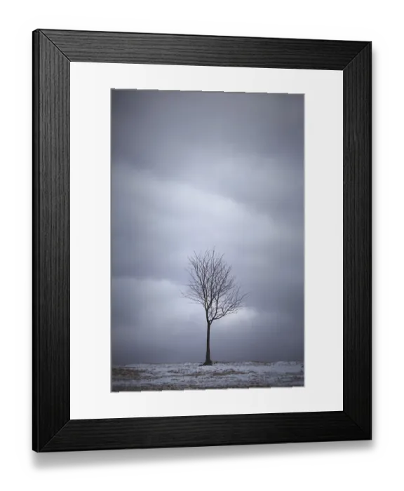 Framed Print : Minimalistic landscape with one lone bare deciduous tree Framed Print : Minimalistic landscape with one lone bare deciduous tree