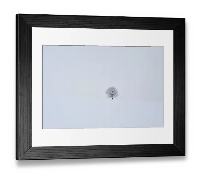 Framed Print : Solitary fruit tree in snow-covered landscape, Ruesselbach, Upper Franconia, Bavaria, Germany Framed Print : Solitary fruit tree in snow-covered landscape, Ruesselbach, Upper Franconia, Bavaria, Germany