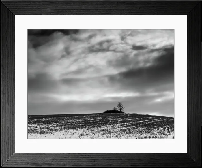 Framed Print : Rural idyllic winter scene with lone bare tree, february fields Framed Print : Rural idyllic winter scene with lone bare tree, february fields