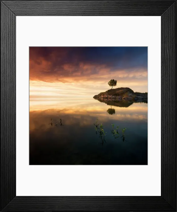 Framed Print : The Tree. Simplicity in Focus: A Minimal Art Photography, 460525635 Framed Print : The Tree. Simplicity in Focus: A Minimal Art Photography, 460525635