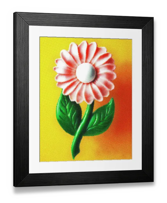 Framed Print : Pink Flower in Orange Background Framed Print : Pink Flower in Orange Background
