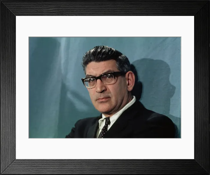 Framed Print : Daniel Z Henkin
