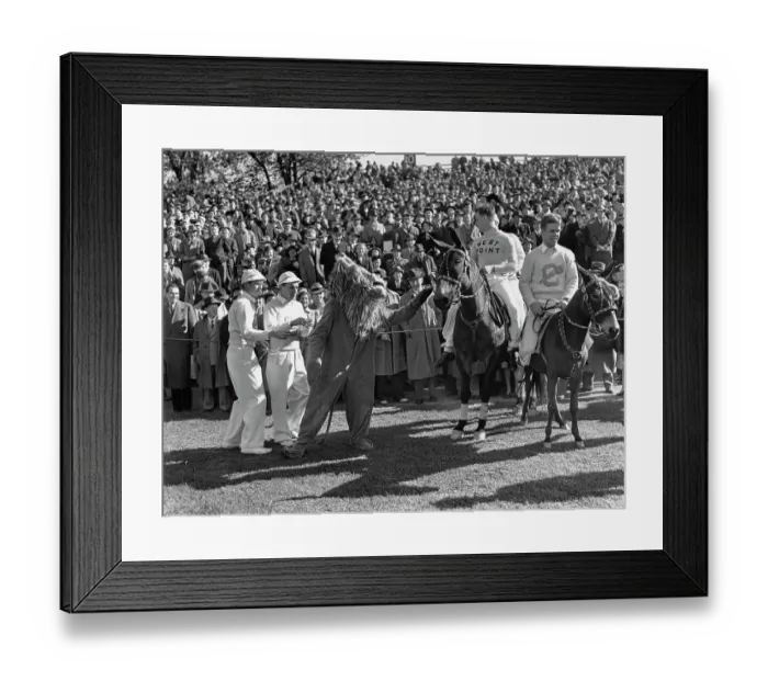 Framed Print : Army Mule And Columbia Lion - Army Vs Columbia