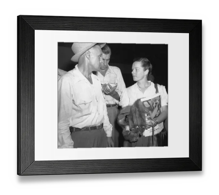 Framed Print : Virginia Hill Returns To Miami Framed Print : Virginia Hill Returns To Miami