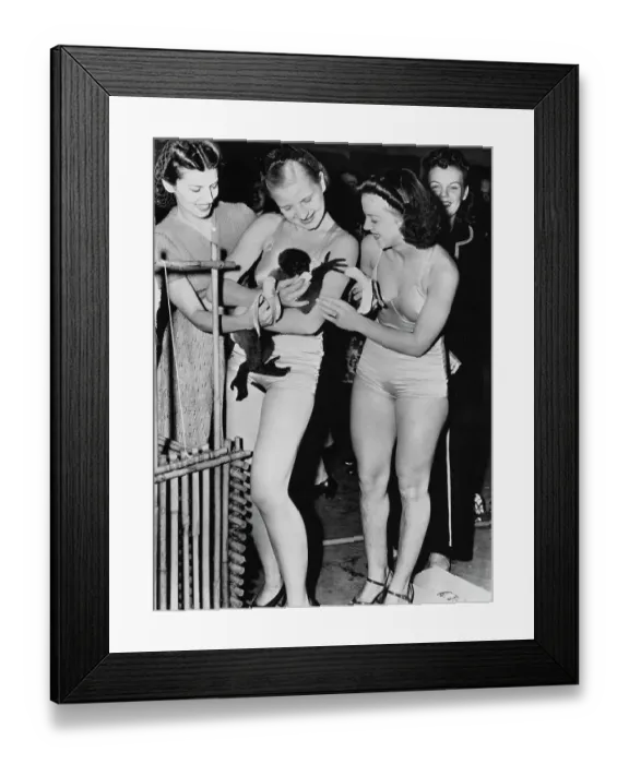 Framed Print : Dancers Feeding Monkey Framed Print : Dancers Feeding Monkey