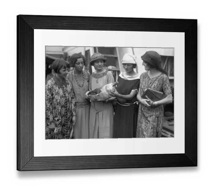 Framed Print : BeeBe Expedition Members Looking At Albatross Framed Print : BeeBe Expedition Members Looking At Albatross