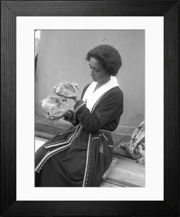 Framed Print : Ruth Rose Holding Two Seagull Chicks Framed Print : Ruth Rose Holding Two Seagull Chicks