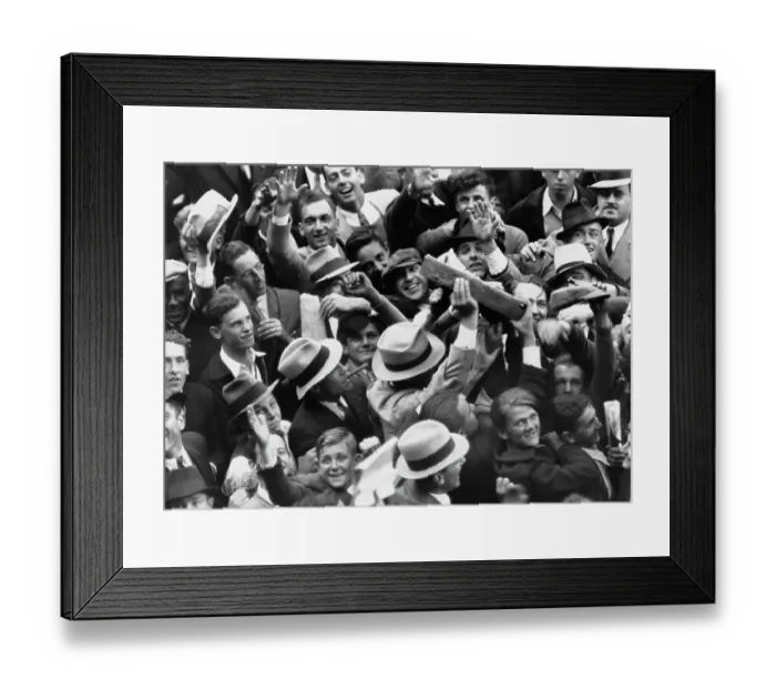 Framed Print : World Series Baseball Fans Framed Print : World Series Baseball Fans