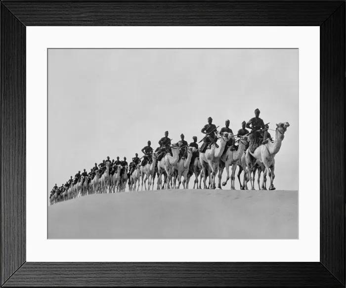 Framed Print : Egyptian Camel Corps