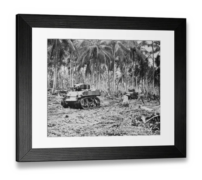 Framed Print : World War Two: The Pacific 1944 Framed Print : World War Two: The Pacific 1944