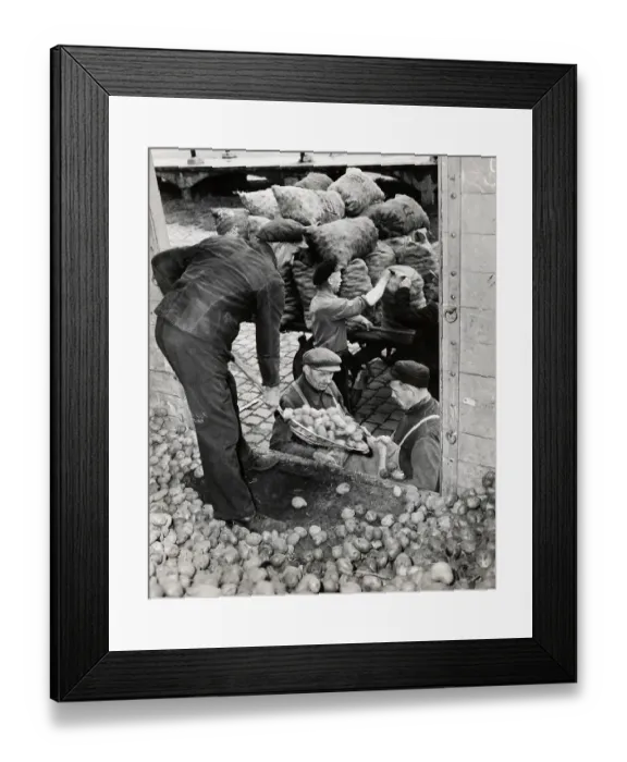 Framed Print : Potato Distribution In Post-War Germany Framed Print : Potato Distribution In Post-War Germany