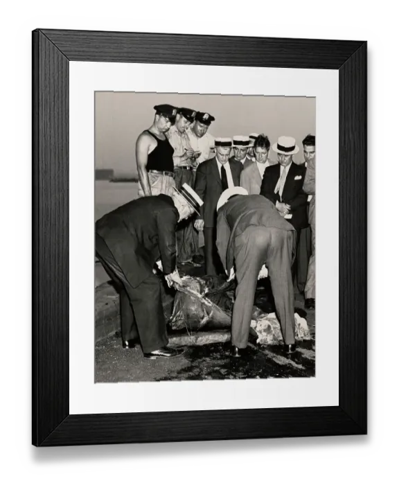 Framed Print : Police With Bodies Recovered From East River Framed Print : Police With Bodies Recovered From East River