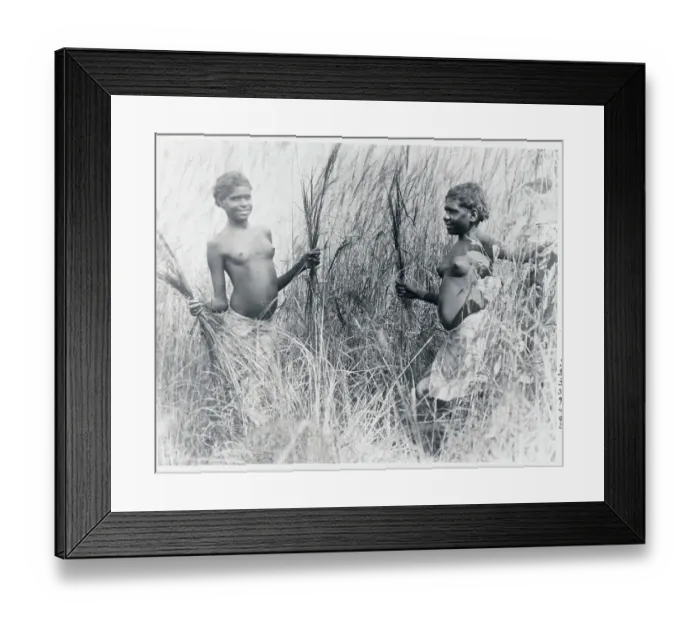 Framed Print : Aborigine Girls Playing in the Bush Framed Print : Aborigine Girls Playing in the Bush