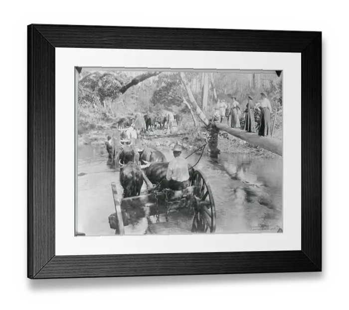 Framed Print : Hullock Team Crossing River Framed Print : Hullock Team Crossing River