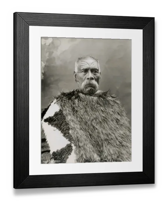Framed Print : Maori Chief of New Zealand Framed Print : Maori Chief of New Zealand