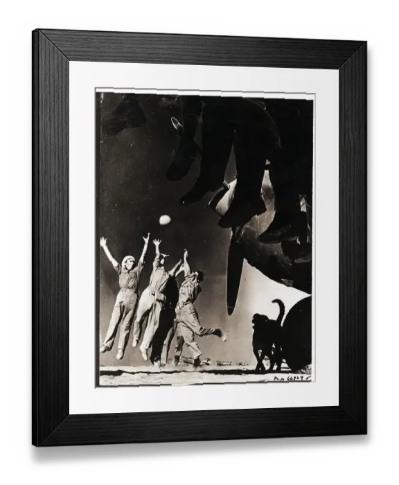 Framed Print : Dog and People Watch Rugby Players Framed Print : Dog and People Watch Rugby Players