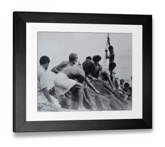Framed Print : Maoris Hauling in Fish Nets Framed Print : Maoris Hauling in Fish Nets